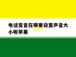 电话变音在哪里设置声音大小呢苹果
