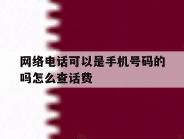 网络电话可以是手机号码的吗怎么查话费