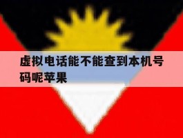 虚拟电话能不能查到本机号码呢苹果