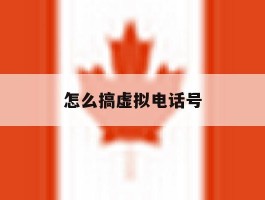 怎么搞虚拟电话号