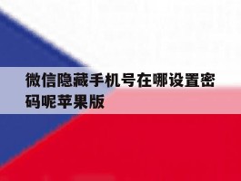 微信隐藏手机号在哪设置密码呢苹果版