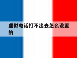 虚拟电话打不出去怎么设置的