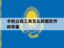 手机口袋工具怎么卸载软件啊苹果
