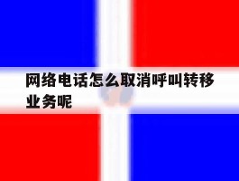 网络电话怎么取消呼叫转移业务呢