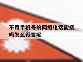 不用手机号的网络电话能接吗怎么设置呢