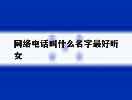 网络电话叫什么名字最好听女