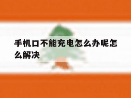 手机口不能充电怎么办呢怎么解决