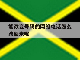 能改变号码的网络电话怎么改回来呢