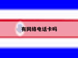 有网络电话卡吗