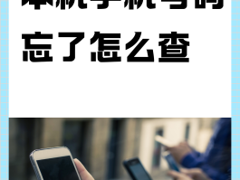 包含国外电话卡怎么查看本机号码的实名信息呢视频的词条