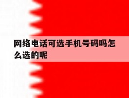 网络电话可选手机号码吗怎么选的呢
