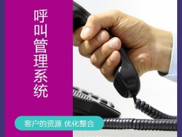 网络电话用途分类标准有哪些类型