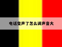 电话变声了怎么调声音大