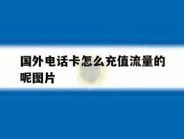 国外电话卡怎么充值流量的呢图片