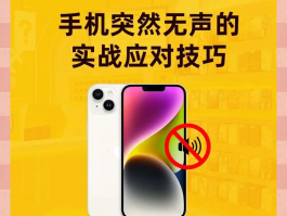 电脑打电话听不见声音怎么办vivo的简单介绍