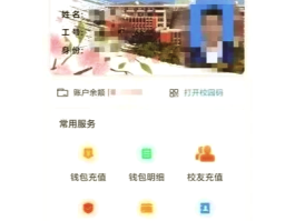 如何申请虚拟电话卡号实名认证