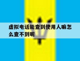 包含虚拟电话能查到使用人嘛怎么查不到呢的词条