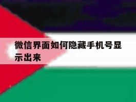 微信界面如何隐藏手机号显示出来