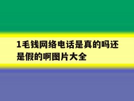 1毛钱网络电话是真的吗还是假的啊图片大全