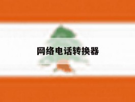 网络电话转换器