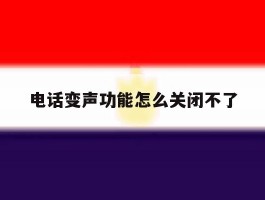 电话变声功能怎么关闭不了
