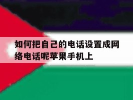 如何把自己的电话设置成网络电话呢苹果手机上的简单介绍