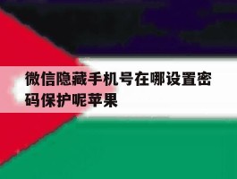 微信隐藏手机号在哪设置密码保护呢苹果