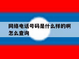 网络电话号码是什么样的啊怎么查询