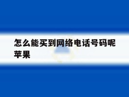 怎么能买到网络电话号码呢苹果