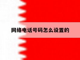 网络电话号码怎么设置的