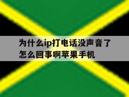 关于为什么ip打电话没声音了怎么回事啊苹果手机的信息
