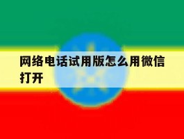 网络电话试用版怎么用微信打开