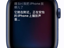 虚拟电话能查到使用人嘛苹果手机吗