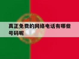 真正免费的网络电话有哪些号码呢