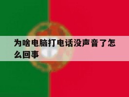 为啥电脑打电话没声音了怎么回事