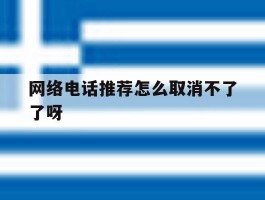 网络电话推荐怎么取消不了了呀