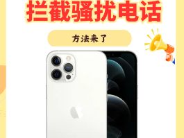 平板通话拦截在哪设置的呢苹果11