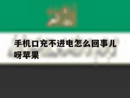手机口充不进电怎么回事儿呀苹果