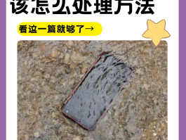 手机口进水了可以把它晾干吗怎么办啊