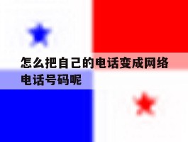 怎么把自己的电话变成网络电话号码呢