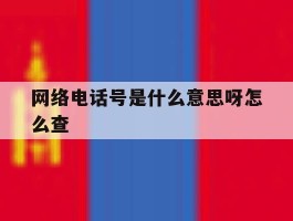 网络电话号是什么意思呀怎么查