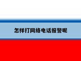 怎样打网络电话报警呢