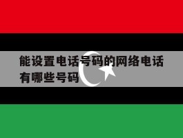 能设置电话号码的网络电话有哪些号码