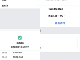 国外电话卡怎么在国内用微信支付