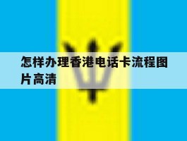 关于怎样办理香港电话卡流程图片高清的信息