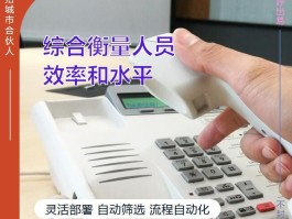 网络电话用途分类标准是什么意思