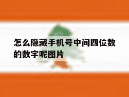 怎么隐藏手机号中间四位数的数字呢图片