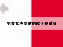 男变女声唱歌的歌手是谁呀