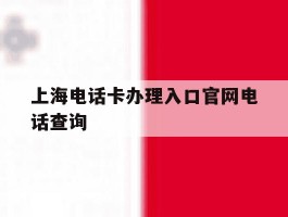 上海电话卡办理入口官网电话查询