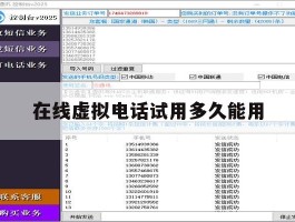 在线虚拟电话试用多久能用